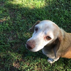 Meet your Posher, Jerry